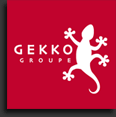 Réseau social - Groupe Gekko